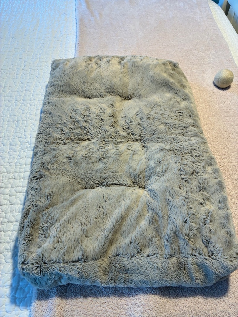 CAT | plush bed